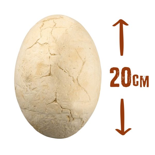 Dino Mega Egg size/measurements
