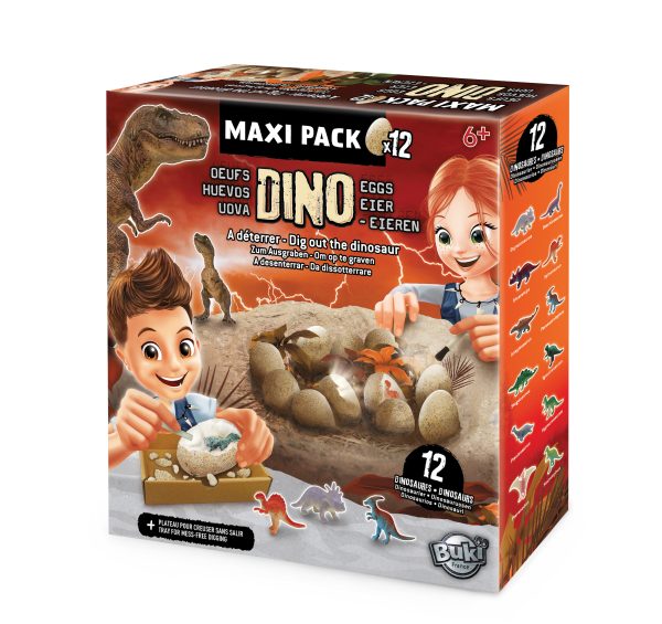 Dino Egg Maxi Pack x 12 - Set of Mystery Dinosaur Eggs for Hatching