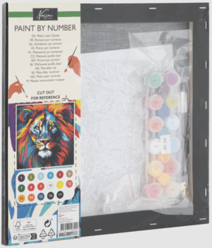 The Nassau Fine Art Paint by Number kit, showing the 30x30cm black canvas with the lion outline, and the packaging detailing the 17 included paint colours.